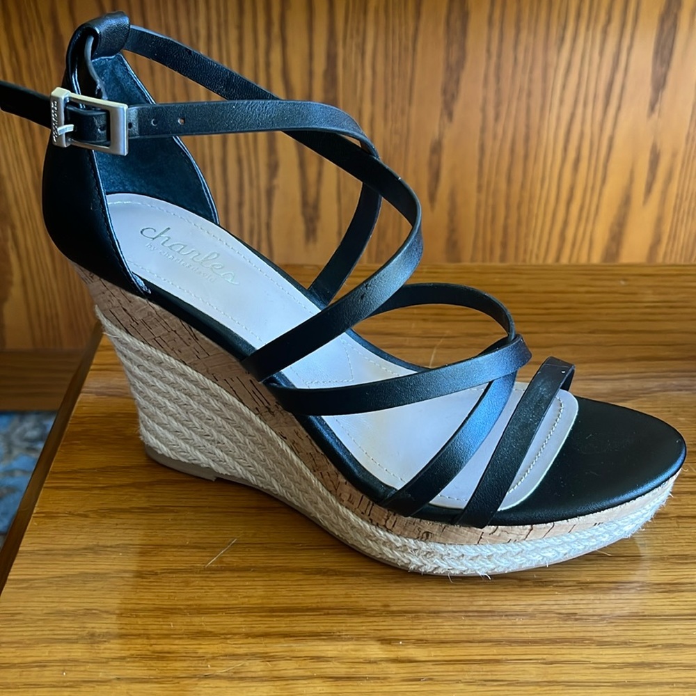 Elegant Charles David platform sandals, barely worn